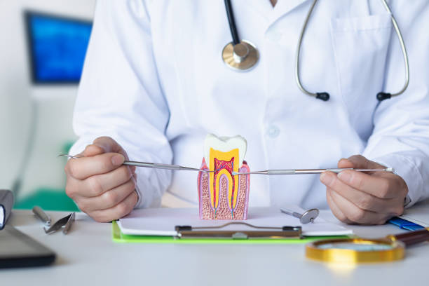 Best Weekend Emergency Dentist in Frankfort, OH